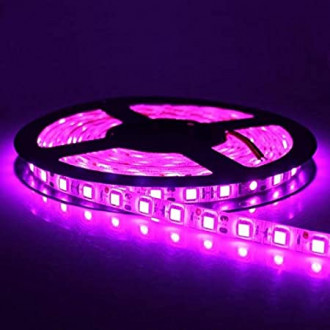 Cinta Led 12v Ip65 Fucsia Rollo*5m